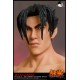 Tekken 6 MX Format Figure Statue 1/4 Jin Kazama 53 cm